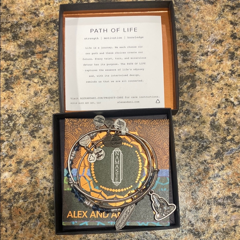 Alex and Ani Silver Charm Bracelet